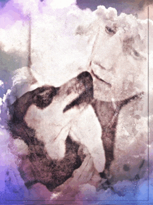 Minature Pinscher Dog Love GIF - Minature Pinscher Dog Love Baby Doggy GIFs