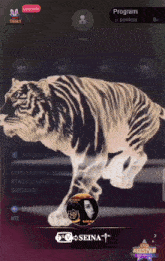 a tiger is jumping in the air with the words " upgrade " in the upper left corner