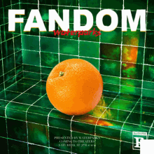 Fandom Waterparks Orange GIF - Fandom Waterparks Orange Cut In Half GIFs