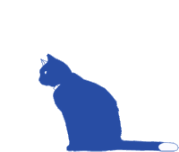 Lito Miel Gato Azul Sticker - Lito Miel Gato Azul Gato Stickers