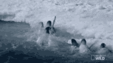 a group of people are swimming in the ocean with sharks in the background .