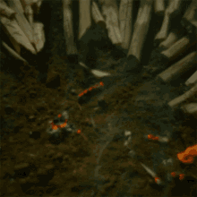 Growing Leaves The Green Knight GIF - Growing Leaves The Green Knight Growing Crops GIFs