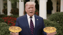 Trump Taco GIF - Trump Taco Tacos GIFs