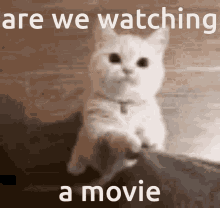 we watching