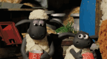 Timmy Sheep GIF - Timmy Sheep Cola GIFs