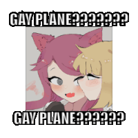 a picture of two anime girls with the words gay plane on it