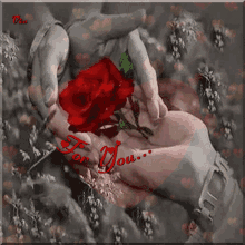 For You Flowers For You GIF - For You Flowers For You Roses GIFs