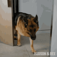 Entering The Door Rex GIF