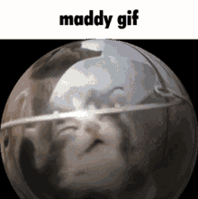 Maddy 196 GIF - Maddy 196 196cord GIFs