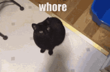 Whimper Cat GIF - Whimper Cat Black GIFs