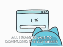 cat memes