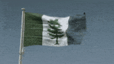 a flag with a pine tree on it