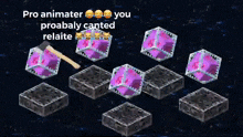 a screenshot of a video game that says pro animater you probably canted relatte