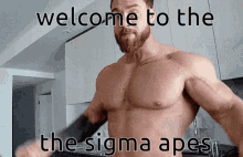 Welcome To The Sigma Apes Welcome GIF