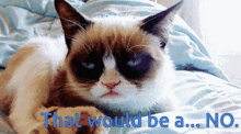 Iam Viki Grumpy Cat GIF