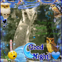 Rizz Owl Rizzowl GIF - Rizz Owl Rizzowl Good Night GIFs