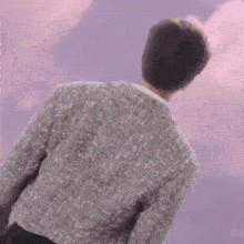 a man in a gray jacket is standing in front of a purple sky .