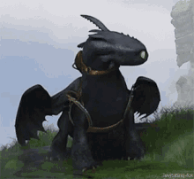Toothless Httyd GIF - Toothless Httyd Collapse GIFs