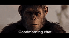 Caesar Planet Of The Apes GIF