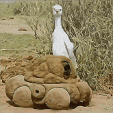 a painting of a bird sitting on top of a turtle