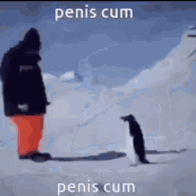 Penis Cum GIF - Penis Cum Penguin GIFs