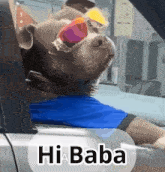 a dog wearing sunglasses and a blue shirt says hi baba on the bottom