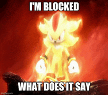 shadow the hedgehog is standing in front of a red background and says `` i 'm blocked what does it say ``