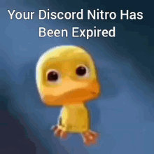 No Nitro Discord Nitro GIF - No Nitro Discord Nitro Discord Mod GIFs