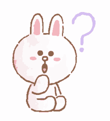 brown bear cony bunny huh what confused
