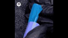 a person wearing black gloves is holding a blue and purple object