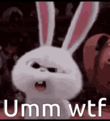 Umm Wtf GIF - Umm Wtf Bunny GIFs