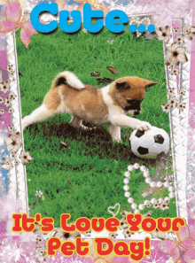 Love Your Pet Day Happy Love Your Pet Day GIF