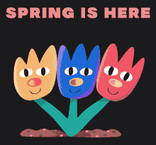 Flowers Spring Is Here GIF - Flowers Spring Is Here Springtime GIFs