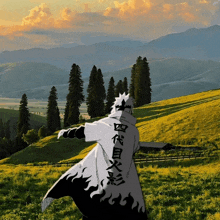 a person with chinese writing on their back is standing in a grassy field