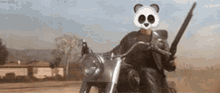 Pandanator Pandanater GIF - Pandanator Pandanater Motorcycle GIFs