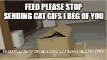 Feed Please GIF - Feed Please Stop GIFs