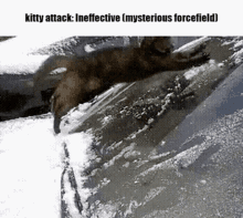 Kitty Review Kitty Attack GIF