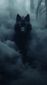 a black wolf in a foggy forest with the letter w on the bottom