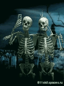 Selfie Skeleton GIF - Selfie Skeleton GIFs
