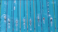 Swimming International Olympic Committee250days GIF - Swimming International Olympic Committee250days Race GIFs