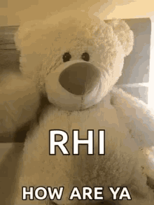How Are Ya Teddy Bear GIF - How Are Ya Teddy Bear Cute GIFs