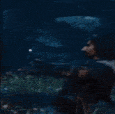 a man is standing in a field of flowers in the dark