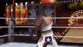 two women are wrestling in a wrestling ring on a tv show .