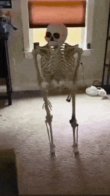a skeleton is standing in front of a window in a room