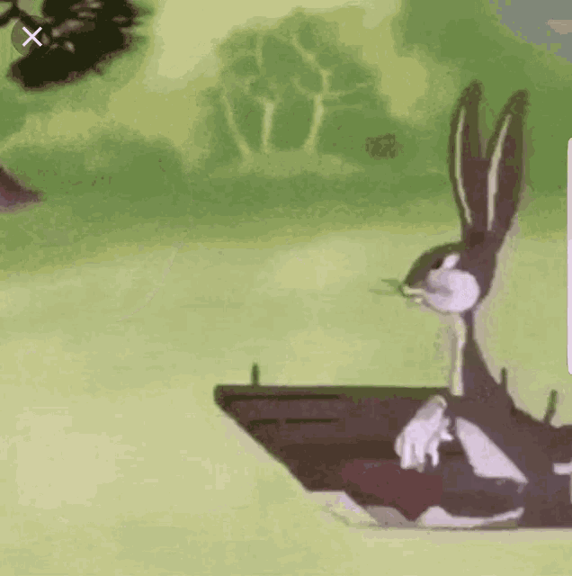 Big Chungus GIF Big Chungus Meme Découvrir et partager des GIF