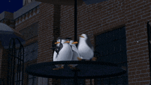 Penguins Of Madagascar Private GIF - Penguins Of Madagascar Private Skipper GIFs
