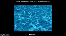 world peace by2020 pass it on youreit wp2020 share the dream