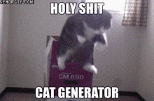 cat loop funny cat cat generator