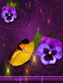 Butterfly Flowers GIF - Butterfly Flowers Design GIFs