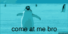 Yes Penguin GIF - Yes Penguin Come At Me GIFs